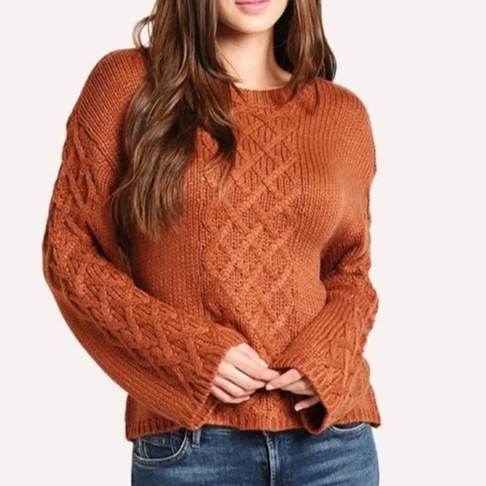 NEW BB DAKOTA Cable Knit Sweater XS